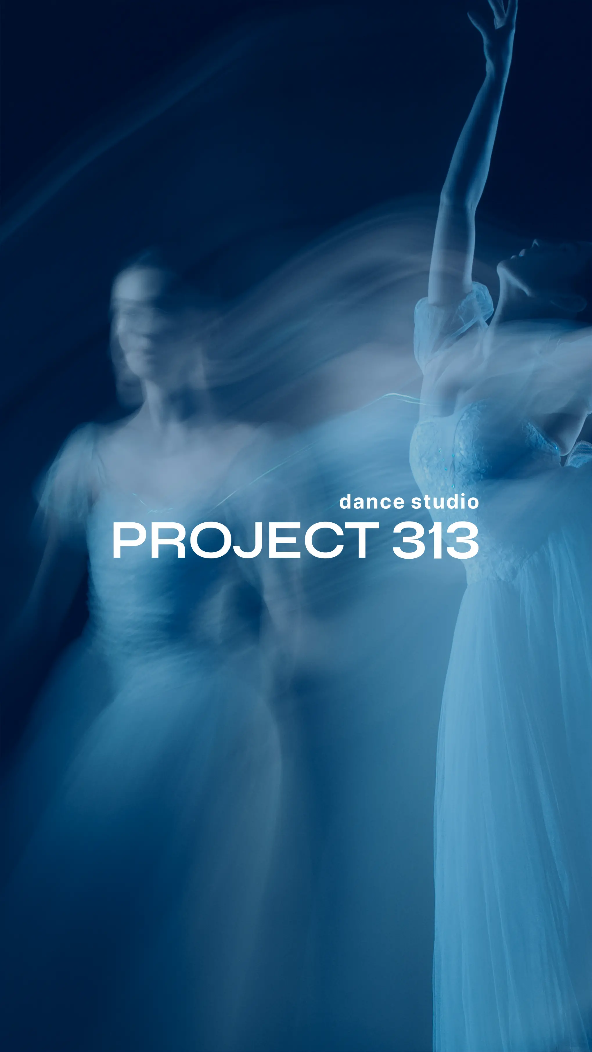 Project 313